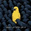 adele.spagnia2
