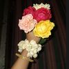 humaira.tasnim312