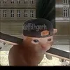 grumfulg_0