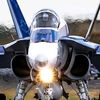 maplewolf34