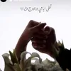 mrosh98_