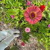 thankyahnature