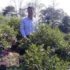 duongquaqnsl