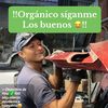 americano_tecnicapintura