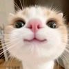 gimme1lov