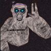trackrunner_gt