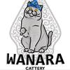 wanara.cattery