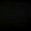 vnestor0