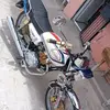 berat80803