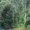 purnamamerindu2671