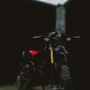 crf_hamters155