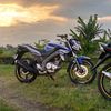wahid_zakyrifai01