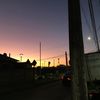 ctalina65_41