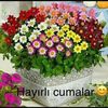 ahmet.yasar.entrk