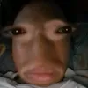 disis.yuan