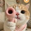 jenoo0._