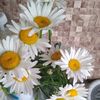 user9781685606736