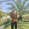 33paq