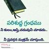 user5639842108680