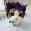 thanoscat230cat