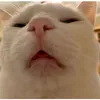 mrcua57
