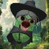 zaimi_junior