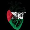 7free_palestin