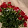 sophie.rose024