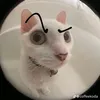 tiktok504_