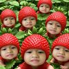 phanthira.patieng