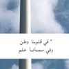 shahzad.ahmed113