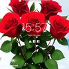 user6515503930519