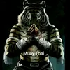 fightbro.12