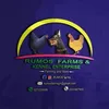 rumos.farms