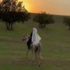 djaidaa_miloud