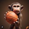 _monkeyhoop