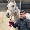 ali.hamze.7