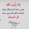 shreen42