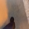 noteventhereanymo3