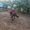 daniel_pedro_rzt
