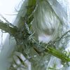 beatiful_ytt