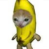 zai_zai_zai_001