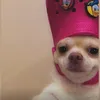 phgneeeee_10