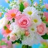 nupur0865