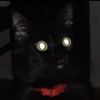 gorz_live