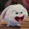 toisemuanuacophanyeah1