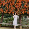 nguyn.th.thanh.hu4
