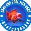 akva_pool_fish