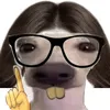 user.skibidi123