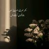 sohaiahmed143